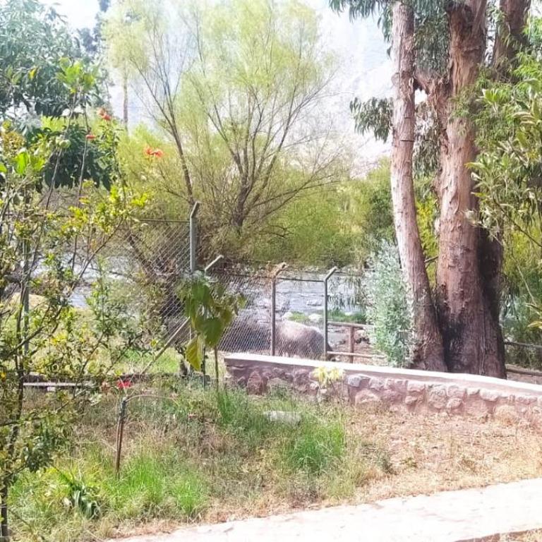 Casa Concha Valle Sagrado - Apartamento de 2 dormitorios con vistas a la montaña - 11