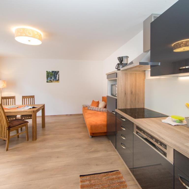 Apartments Schmittental - Schmitten62 Self Check-In - One-Bedroom Apartment with Balcony, Top 3 - 1