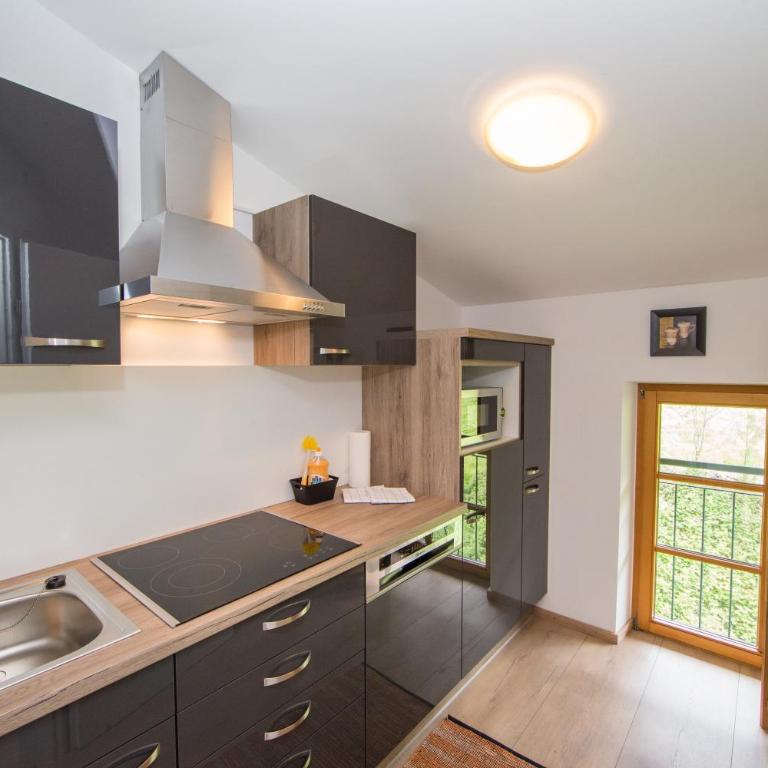 Apartments Schmittental - Schmitten62 Self Check-In - Large One-Bedroom Apartment with Balcony, Top 7 - 3