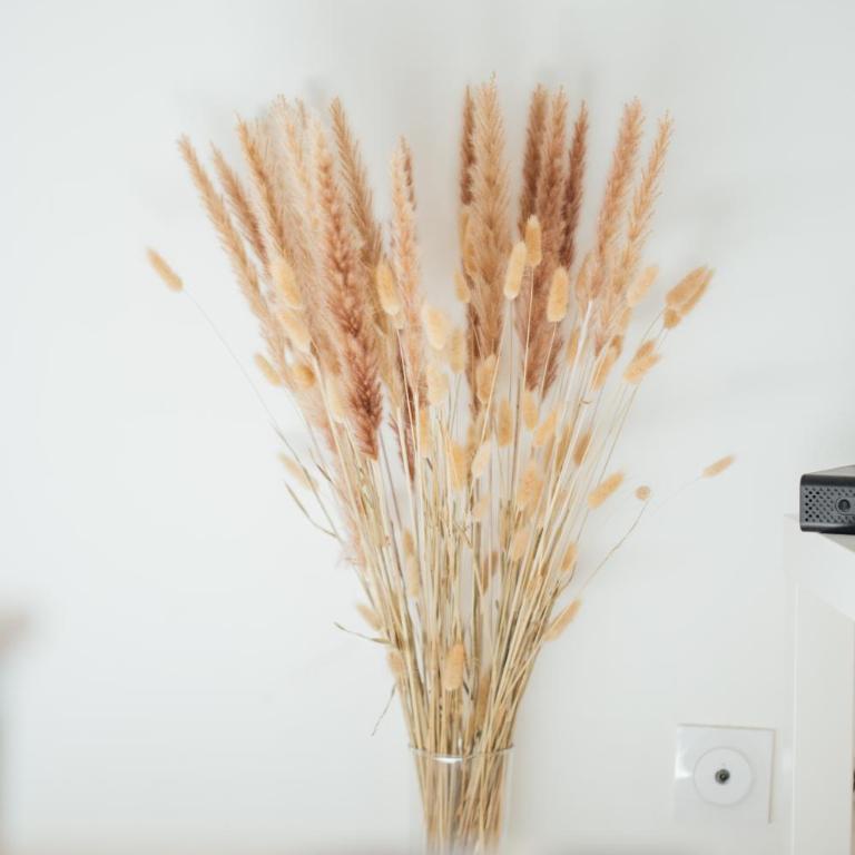 Charmant cocon au cœur de Rennes calme et lumineux - Apartamento de 1 dormitorio - 7