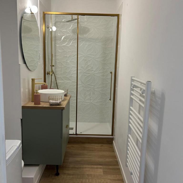 Le Romane-appartement calme et confort-15 minutes à pied de l hyper centre-parking gratuit - Appartement 1 Chambre - 5