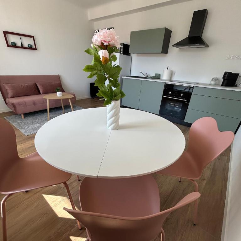 Le Romane-appartement calme et confort-15 minutes à pied de l hyper centre-parking gratuit - Appartement 1 Chambre - 1