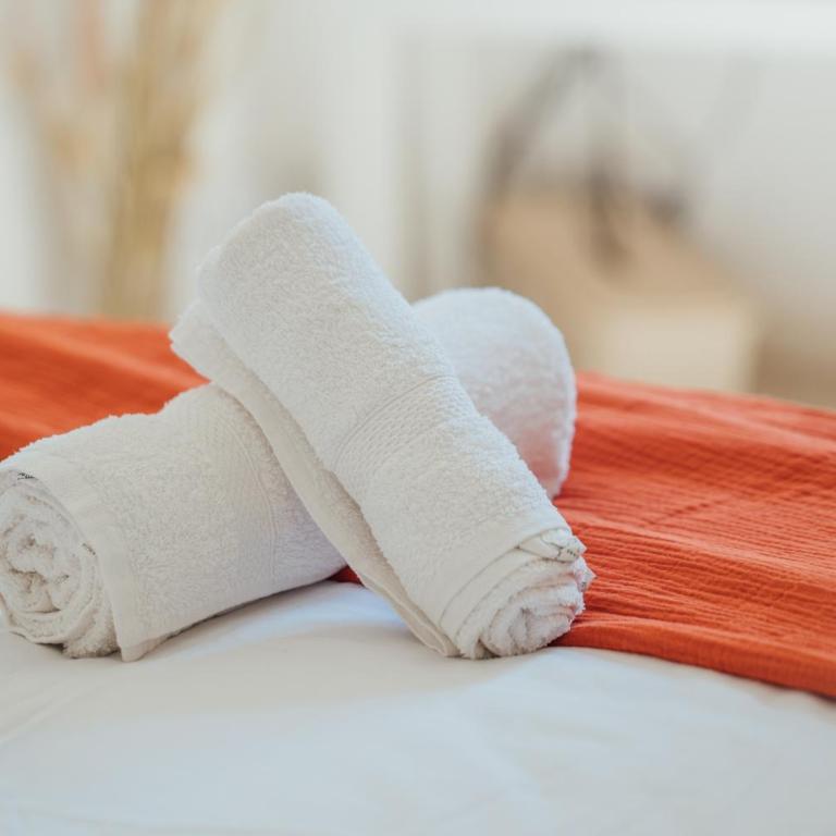 Charmant cocon au cœur de Rennes calme et lumineux - Apartamento de 1 dormitorio - 5