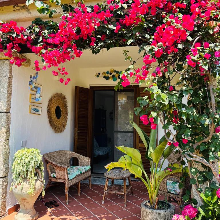 DreamHouse San Teodoro - Casa a Schiera con 2 Camere da Letto - 1
