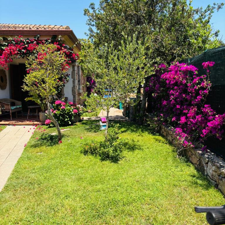 DreamHouse San Teodoro - Casa a Schiera con 2 Camere da Letto - 14