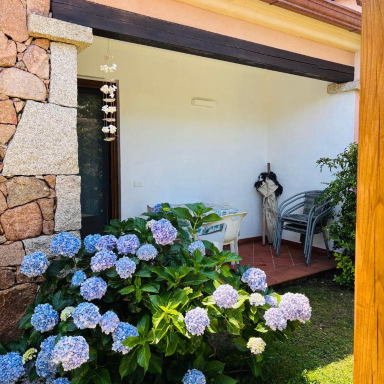 DreamHouse San Teodoro - Casa a Schiera con 2 Camere da Letto - 24