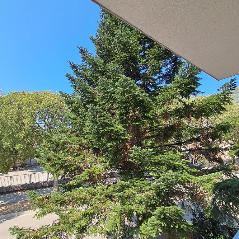 Rayand - One-Bedroom Apartment - 20
