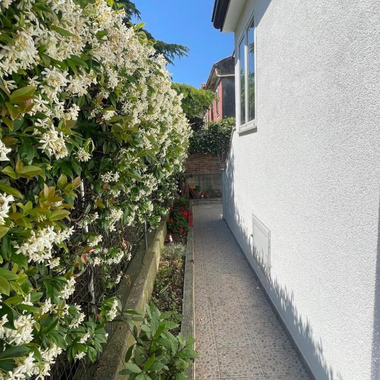 Casa indipendente con giardino privato e posto macchina gratuito - Casa con 2 Camere da Letto - 12
