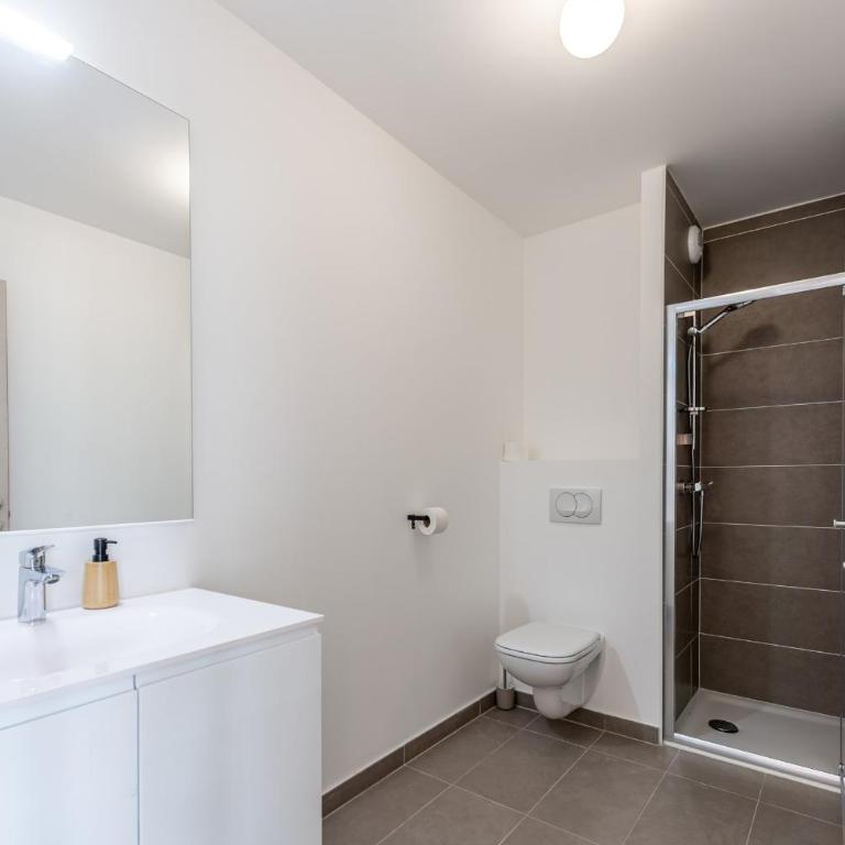 Confortable 2 pièces de 40m proche lac et Vieille Ville - Apartment - 13