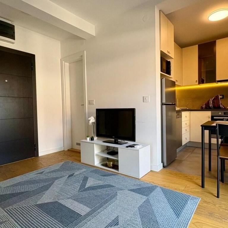 Belgrade Terrace Apartment - One-Bedroom Apartment - 10