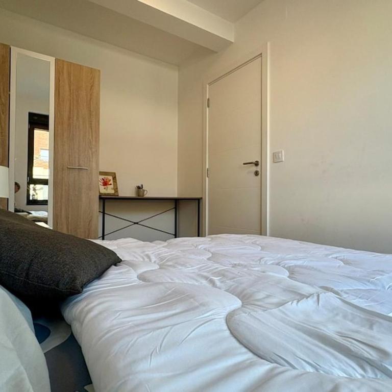 Belgrade Terrace Apartment - One-Bedroom Apartment - 22