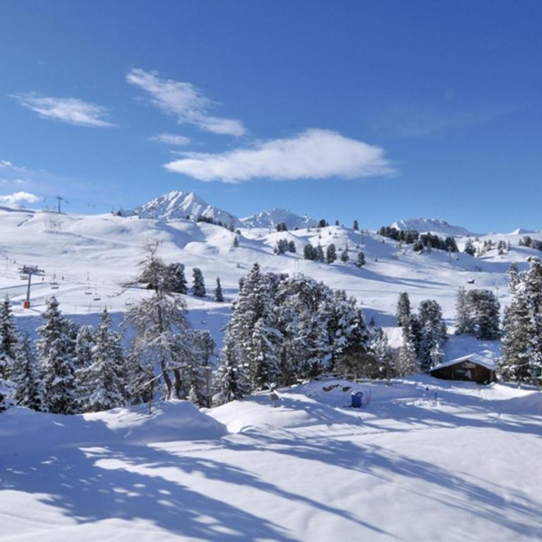 Studio confortable aux pieds des pistes avec terrasse et animaux admis - Estudio - 10