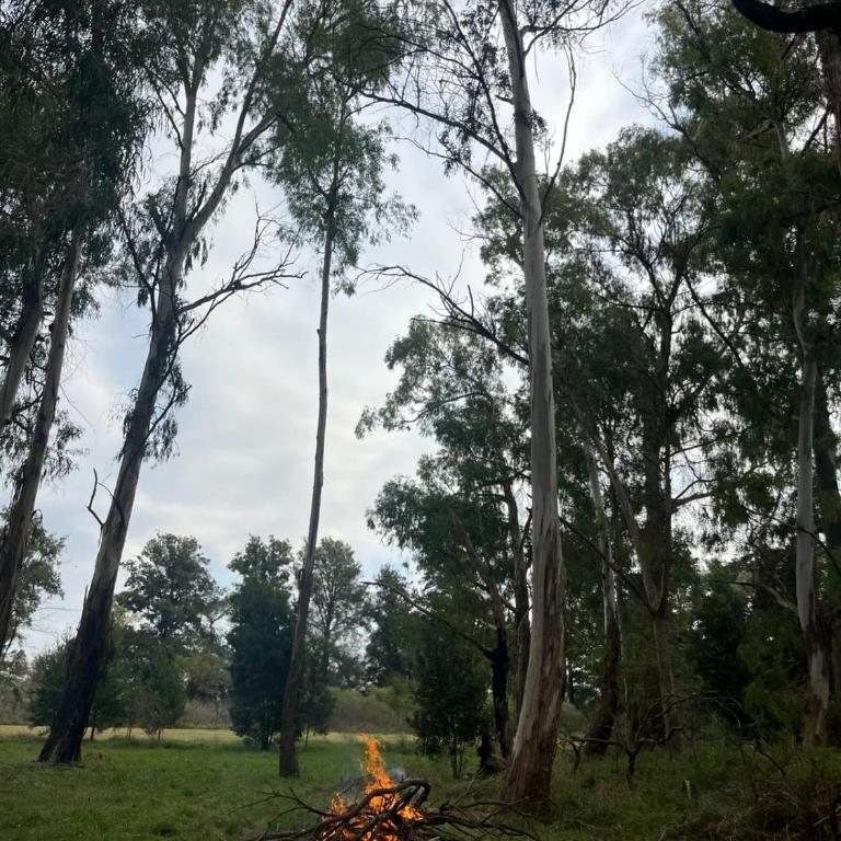 Alamos de Carlos Keen - Casa con 1 dormitorio - 8