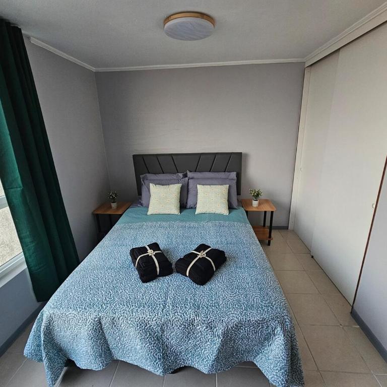 Apartment steps from the Alameda Terminal, Escuela PDI, Estación de Trenes and USACH, Facturable - One-Bedroom Apartment - 6
