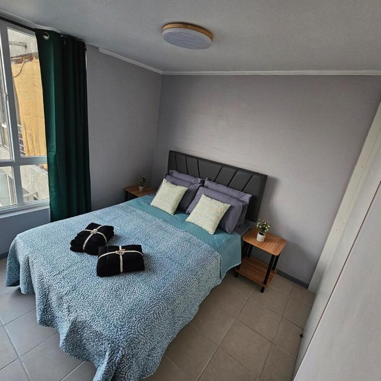 Apartment steps from the Alameda Terminal, Escuela PDI, Estación de Trenes and USACH, Facturable - One-Bedroom Apartment - 7