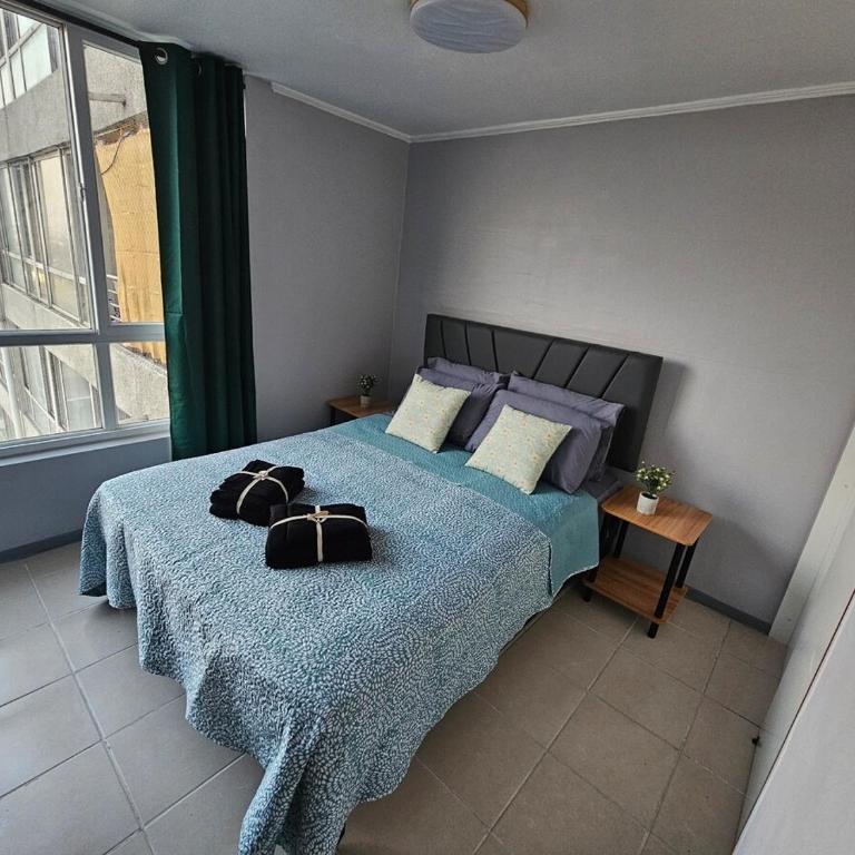 Apartment steps from the Alameda Terminal, Escuela PDI, Estación de Trenes and USACH, Facturable - One-Bedroom Apartment - 10