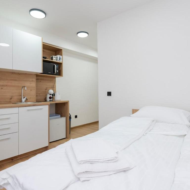 Lelas Studio Apartments 2 - free parking - One-Bedroom Apartment - 3