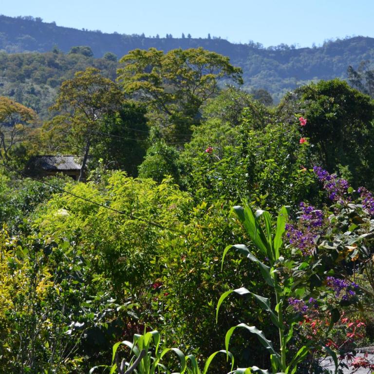 Casa Mirador de la Montaña - Campestre - Villa de Leiva - Moniquira - Habitación Doble con vistas al jardín - 19