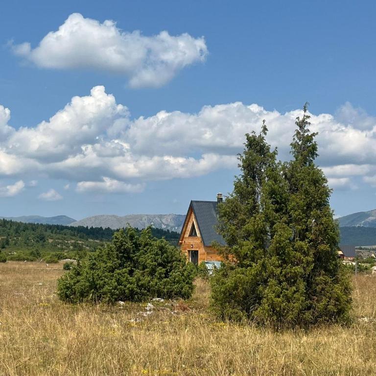 Monte Point Durmitor - Chalet - 2