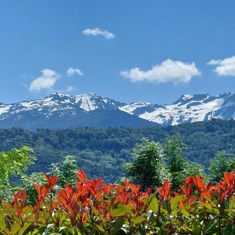 Appartement indépendant, climatisé, au calme avec vue montagne - Appartement 2 Chambres - 10