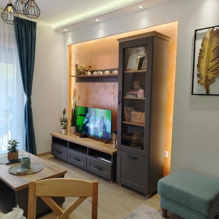 Apartman Amber Vrnjačka Banja - One-Bedroom Apartment - 25