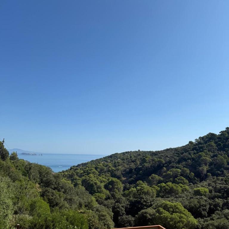 Es Cel de Begur Hotel - Suite Junior - 21