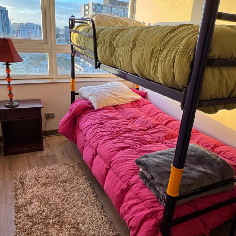 Concep Centro Freiré-Tucapel - Apartamento de 2 dormitorios - 4
