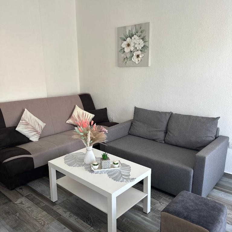 Apartments Tijana - Apartman sa 1 Spavaćom Sobom - 3