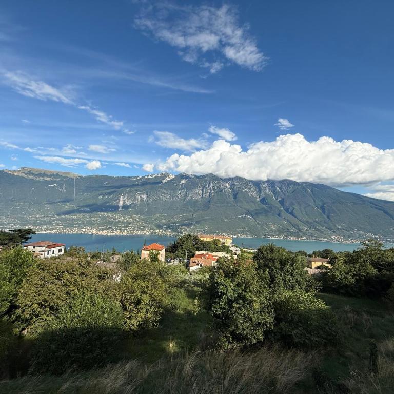 La Quiete 30 Lake view apartment by Gardadomusmea - Appartamento - Piano Terra - 21