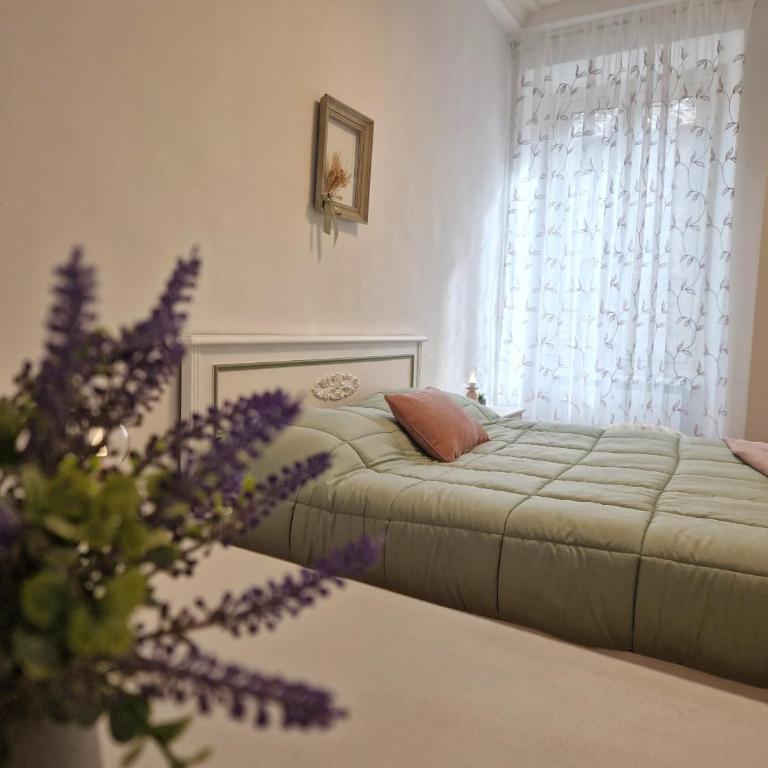 La Rosina - Appartamento Classic - 10
