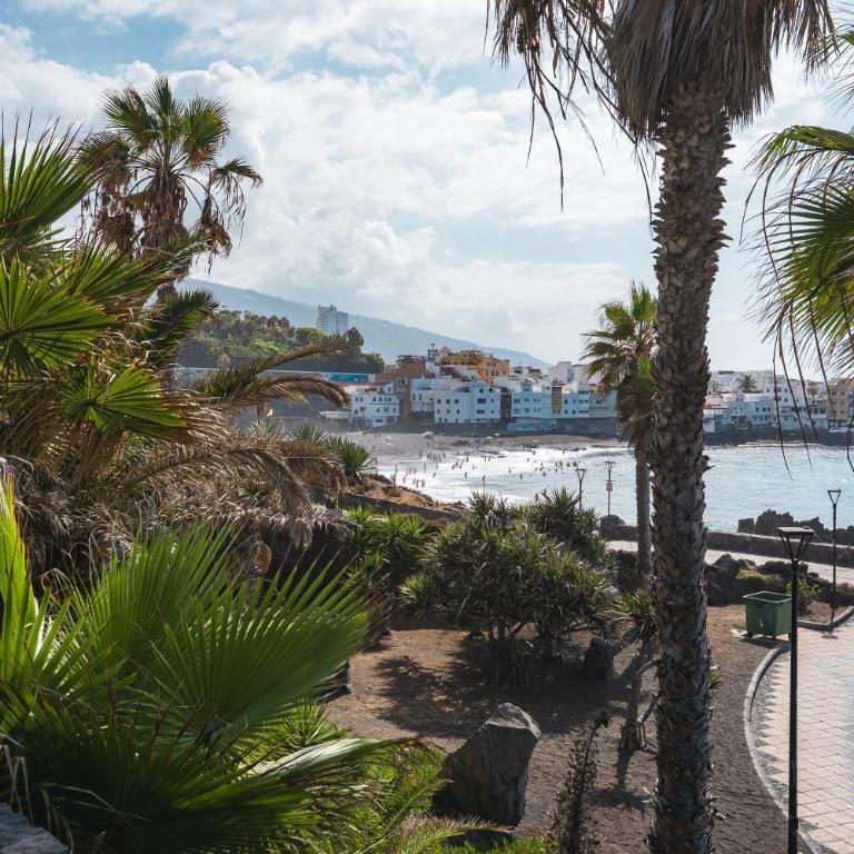 Enchanting and centric flat - Puerto de la Cruz - Apartamento de 1 dormitorio - 30