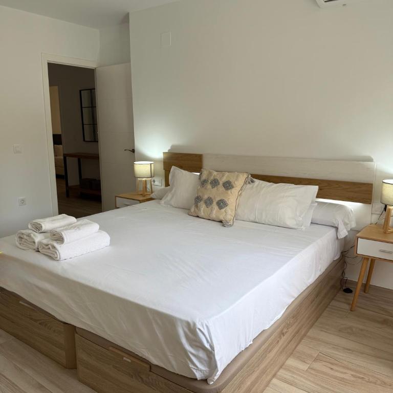 Apartamentos Azonaicas Centro Tendillas - Apartamento con balcón - 1