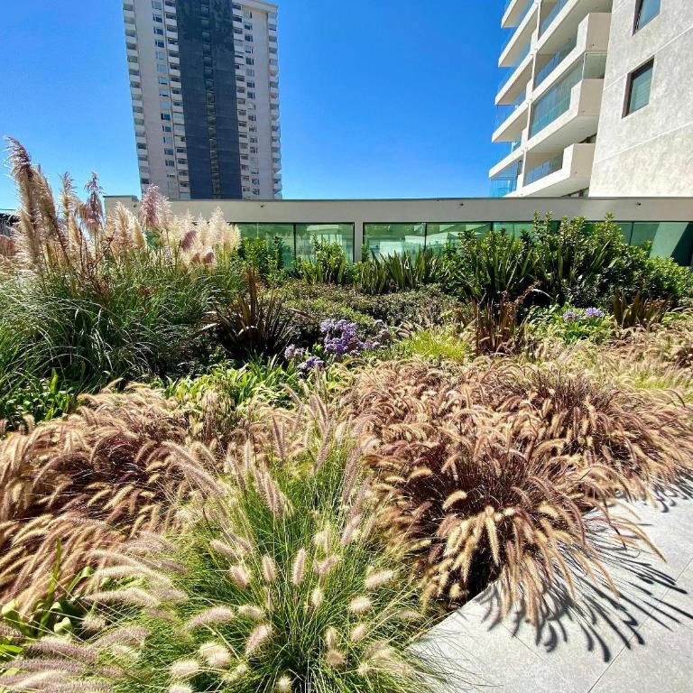 Cómodo y acogedor Depto en Costa de Montemar - Apartamento - 30