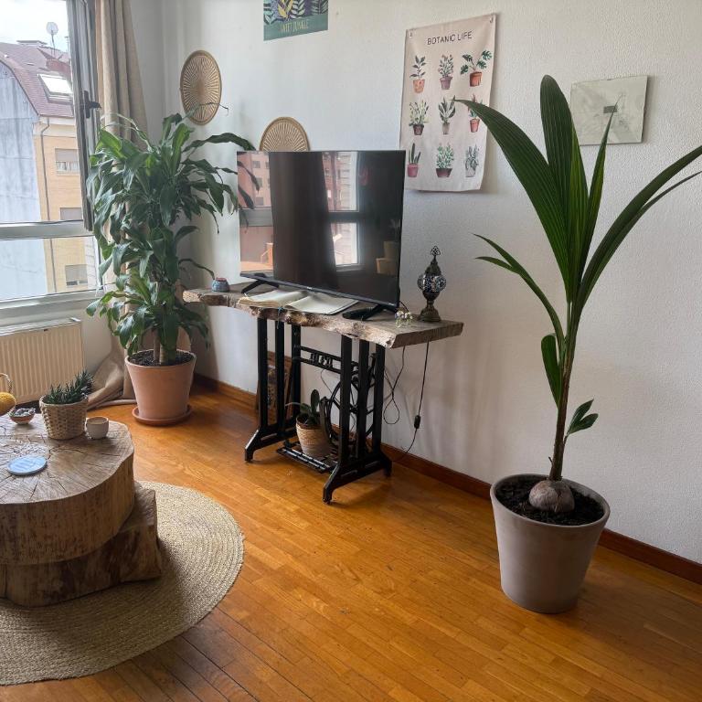 Dulce y sereno piso en Oviedo - Apartamento de 2 dormitorios - 4
