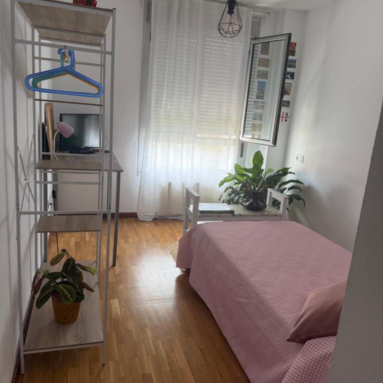 Dulce y sereno piso en Oviedo - Apartamento de 2 dormitorios - 12