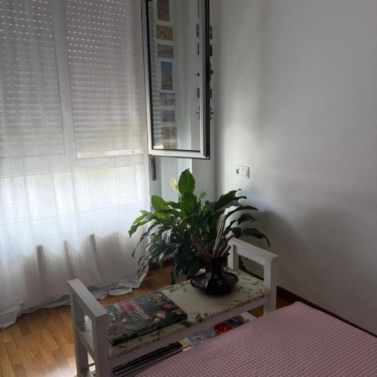Dulce y sereno piso en Oviedo - Apartamento de 2 dormitorios - 10