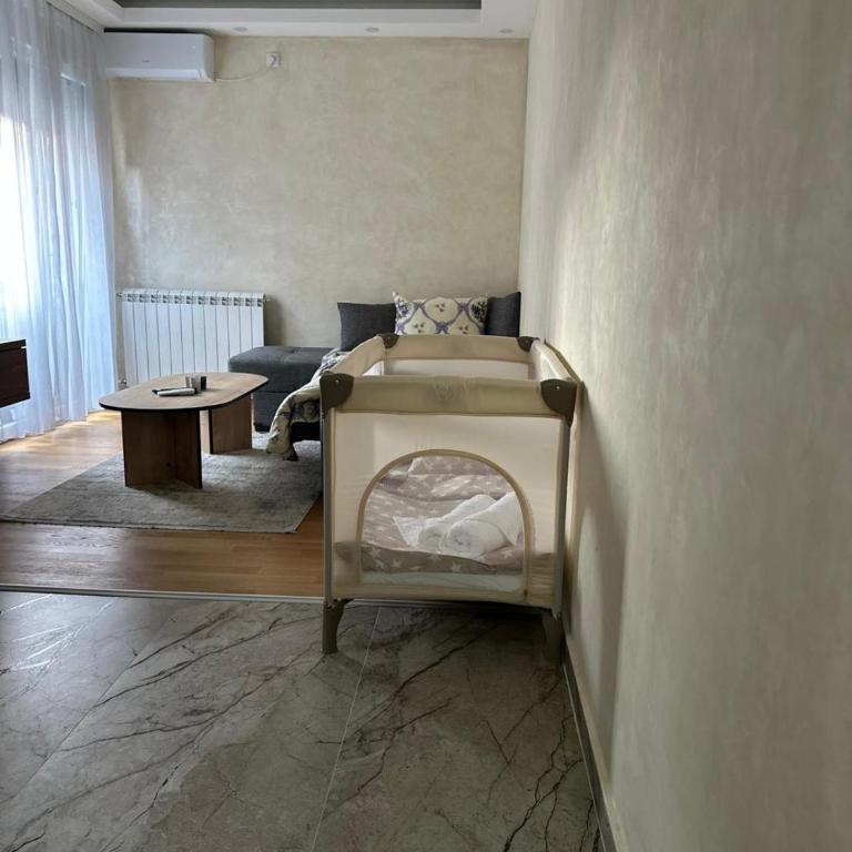 Primavera apartments Banja Koviljaca - Apartman sa 1 Spavaćom Sobom - 26