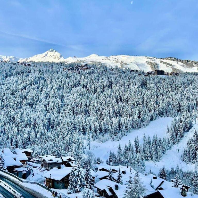 Résidence L'ourse Bleue - Penthouse intimiste avec sauna au cœur de Moriond MAE-5814 - Appartement - 16