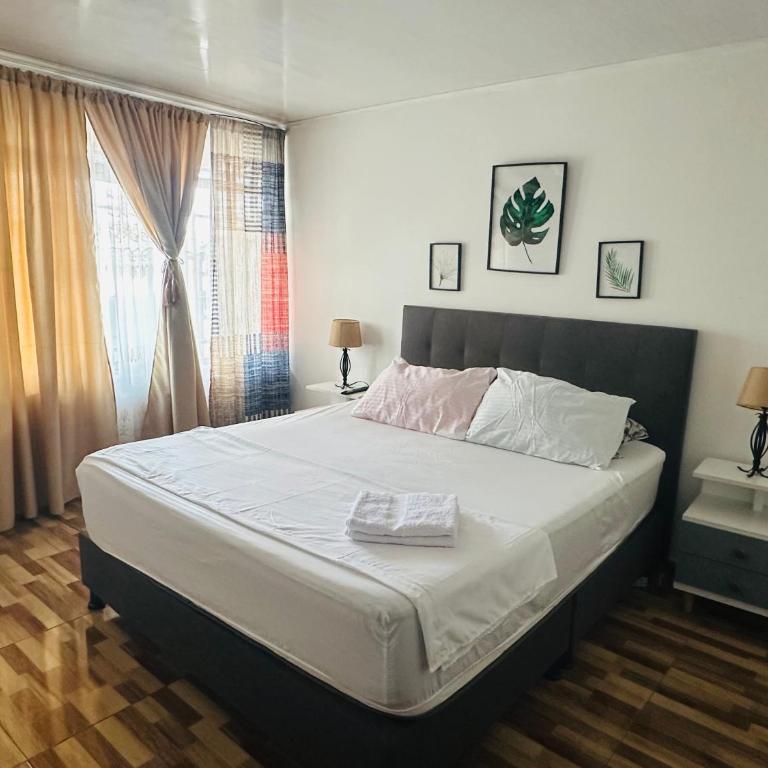 Casa central CIRCASIA - Apartamento de 3 dormitorios - 1
