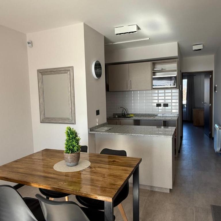 Aparts Arrayanes y Ñires - Apartamento de 1 dormitorio - 6