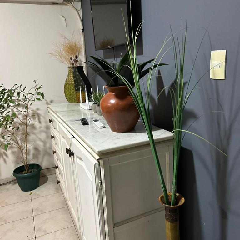 Dptos NUEVOCENTRO SHOPING - Apartamento de 1 dormitorio - 28