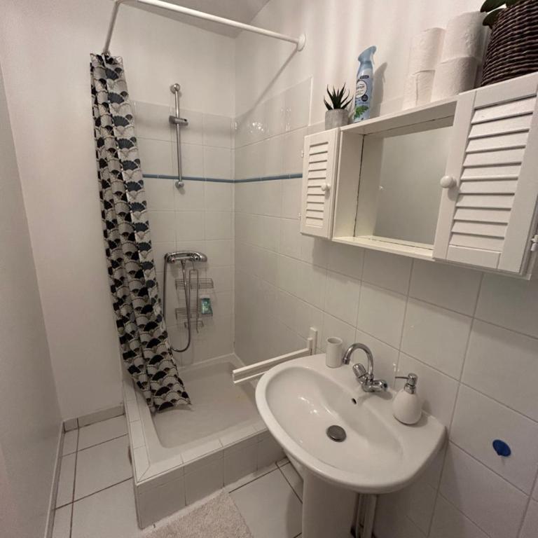 Studio - Appartement 1 Chambre - 13