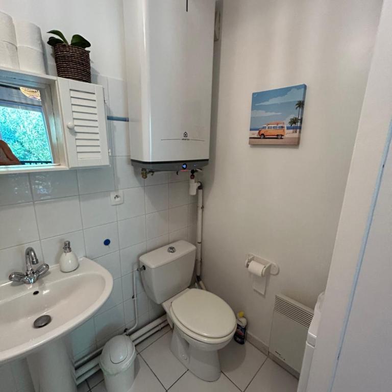 Studio - Appartement 1 Chambre - 12