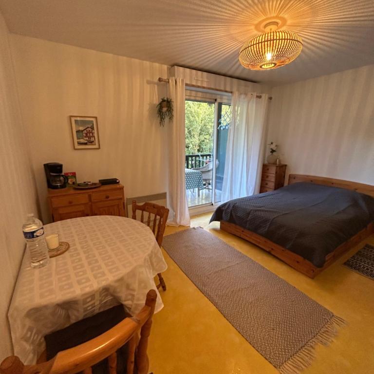Studio - Appartement 1 Chambre - 8