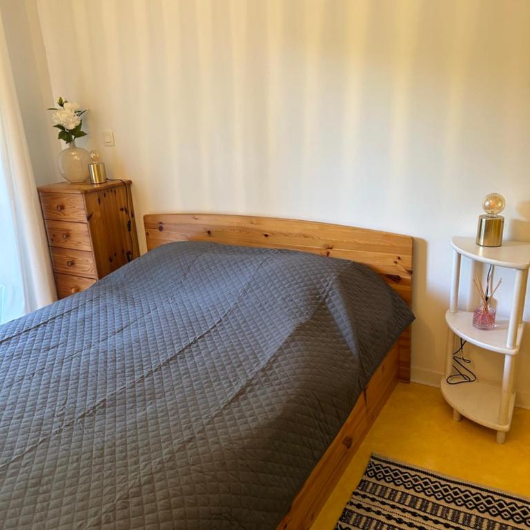 Studio - Appartement 1 Chambre - 6