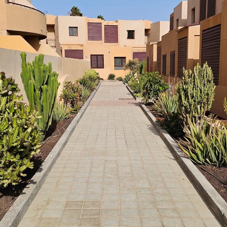 Casa Arturo Ocean View - One-Bedroom Apartment - 22
