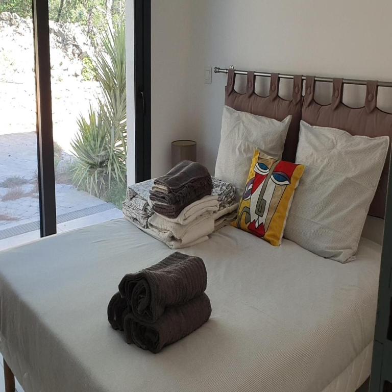 Villa in Lorgues with Private Pool - Villa 5 Chambres - 15