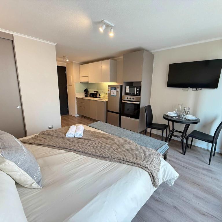 HOM I WiFi AA 4 minutos del Metro Santa Lucia - Apartment - 16