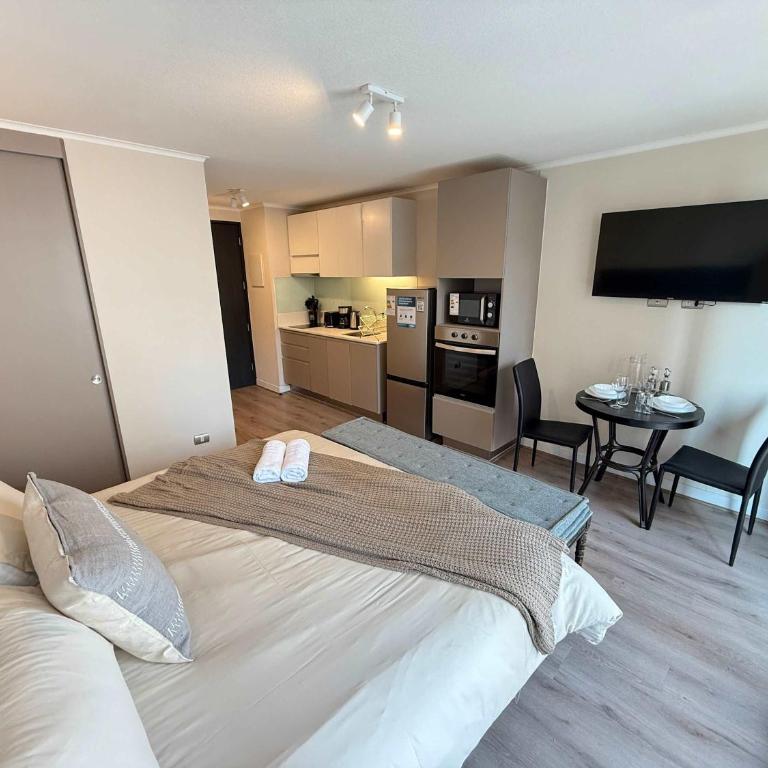 HOM I WiFi AA 4 minutos del Metro Santa Lucia - Apartment - 1