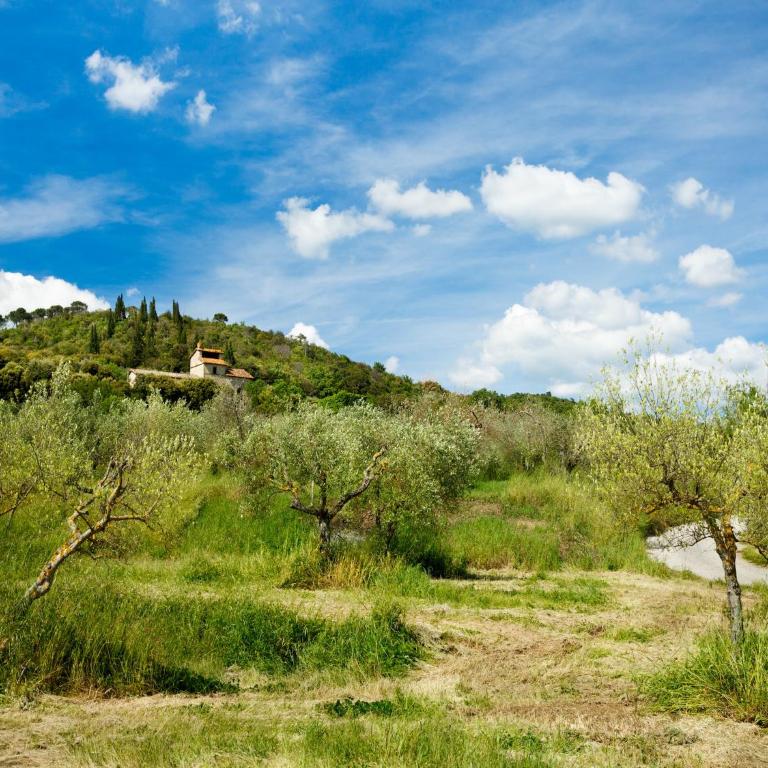 Elegant 2-Bedroom Holiday Home in Tuscan - Two-Bedroom Holiday Home - 38